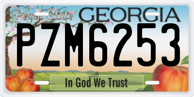 GA license plate PZM6253