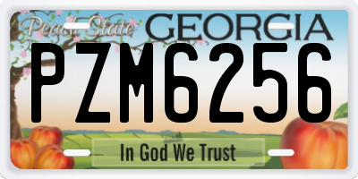 GA license plate PZM6256