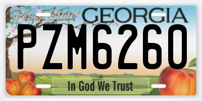 GA license plate PZM6260