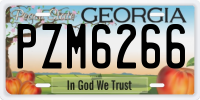 GA license plate PZM6266