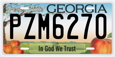 GA license plate PZM6270