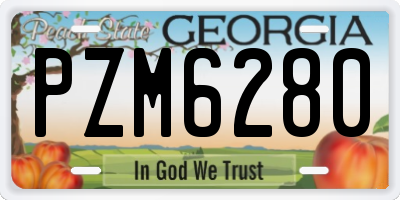 GA license plate PZM6280