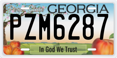 GA license plate PZM6287