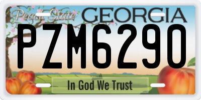 GA license plate PZM6290