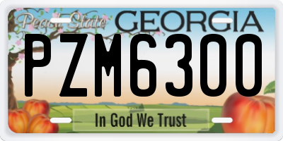 GA license plate PZM6300