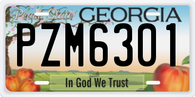 GA license plate PZM6301