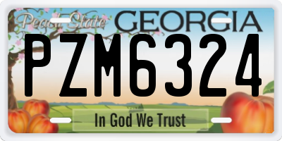 GA license plate PZM6324