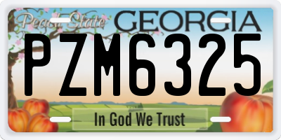 GA license plate PZM6325