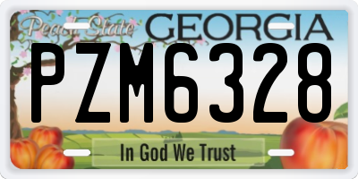 GA license plate PZM6328