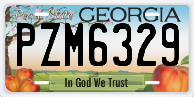 GA license plate PZM6329