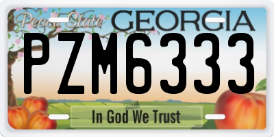 GA license plate PZM6333
