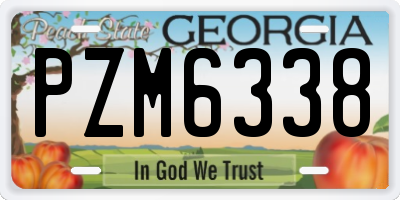 GA license plate PZM6338