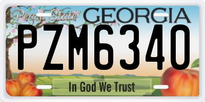 GA license plate PZM6340