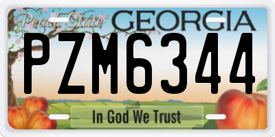 GA license plate PZM6344