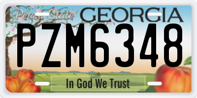 GA license plate PZM6348