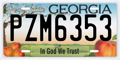 GA license plate PZM6353