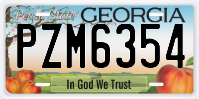 GA license plate PZM6354