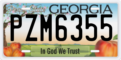 GA license plate PZM6355