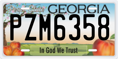 GA license plate PZM6358