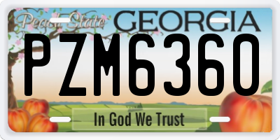 GA license plate PZM6360