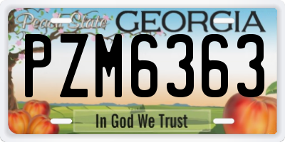 GA license plate PZM6363