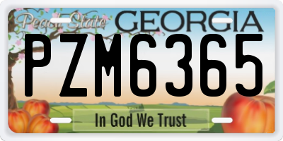GA license plate PZM6365
