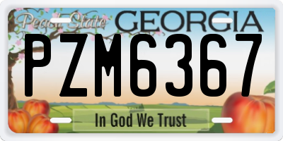 GA license plate PZM6367