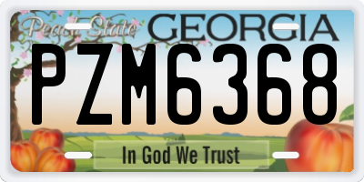 GA license plate PZM6368