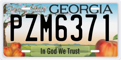 GA license plate PZM6371