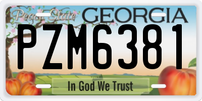 GA license plate PZM6381