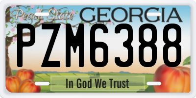 GA license plate PZM6388