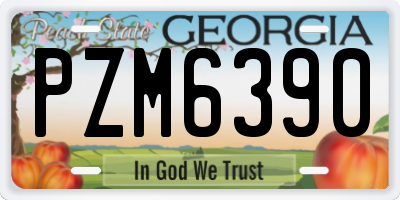 GA license plate PZM6390