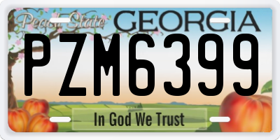 GA license plate PZM6399