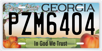 GA license plate PZM6404