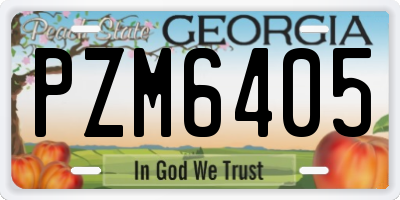 GA license plate PZM6405