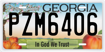 GA license plate PZM6406