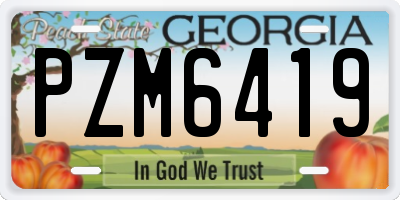 GA license plate PZM6419