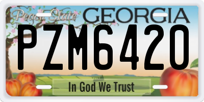 GA license plate PZM6420