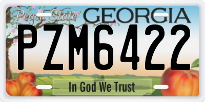 GA license plate PZM6422
