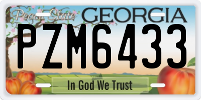 GA license plate PZM6433