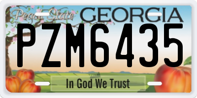 GA license plate PZM6435