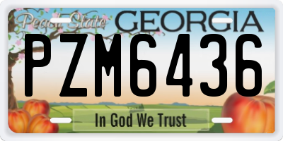 GA license plate PZM6436