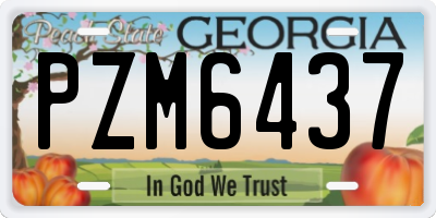 GA license plate PZM6437