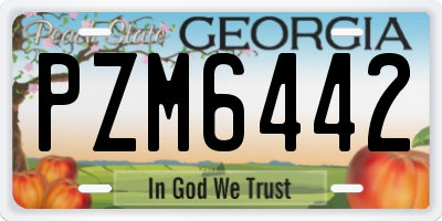 GA license plate PZM6442