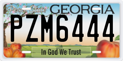 GA license plate PZM6444