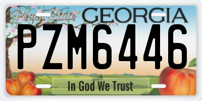 GA license plate PZM6446