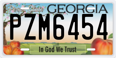 GA license plate PZM6454