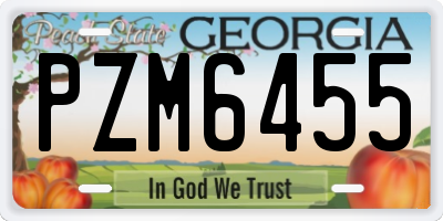 GA license plate PZM6455