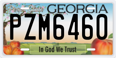 GA license plate PZM6460