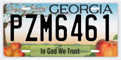 GA license plate PZM6461